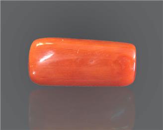 Natural Coral  8.29RTS-27458